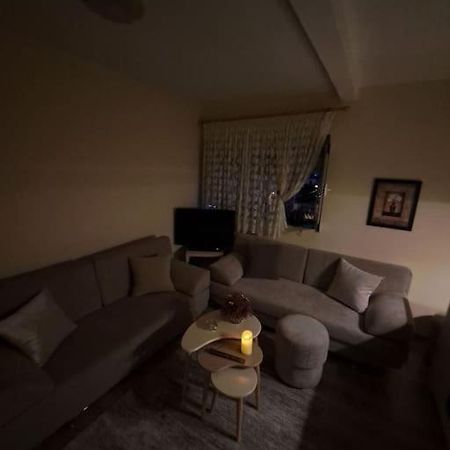 Quiet, Cozy, Luminous Apartment Tirana Exteriör bild