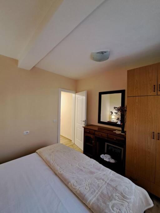 Quiet, Cozy, Luminous Apartment Tirana Exteriör bild