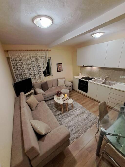 Quiet, Cozy, Luminous Apartment Tirana Exteriör bild