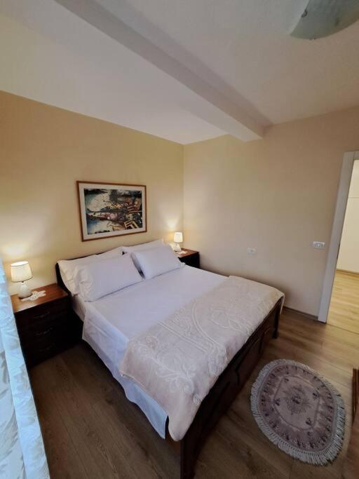 Quiet, Cozy, Luminous Apartment Tirana Exteriör bild