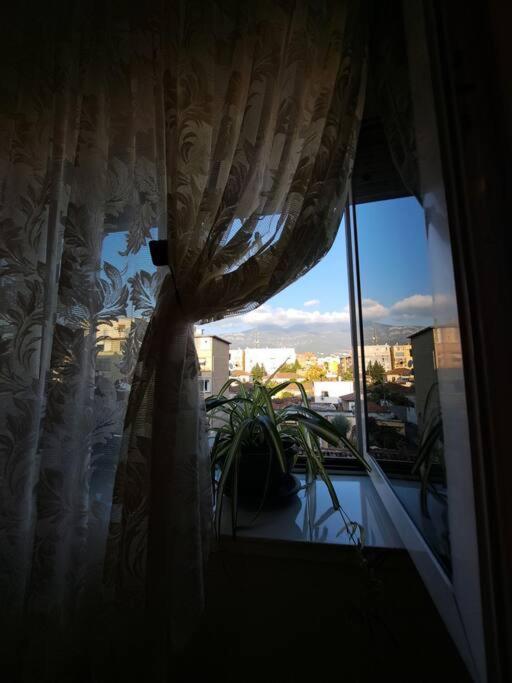 Quiet, Cozy, Luminous Apartment Tirana Exteriör bild