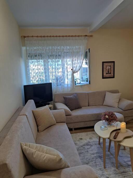 Quiet, Cozy, Luminous Apartment Tirana Exteriör bild