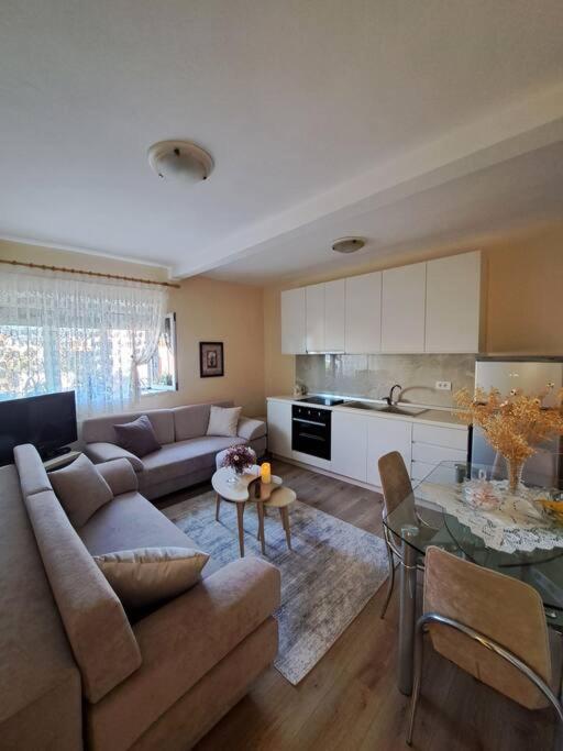 Quiet, Cozy, Luminous Apartment Tirana Exteriör bild