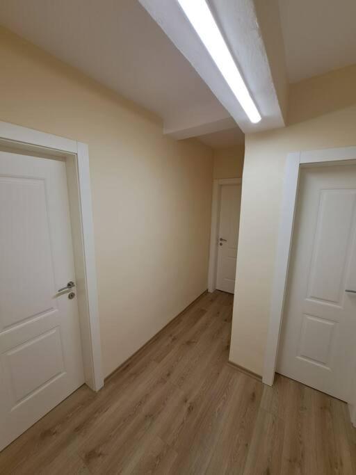 Quiet, Cozy, Luminous Apartment Tirana Exteriör bild
