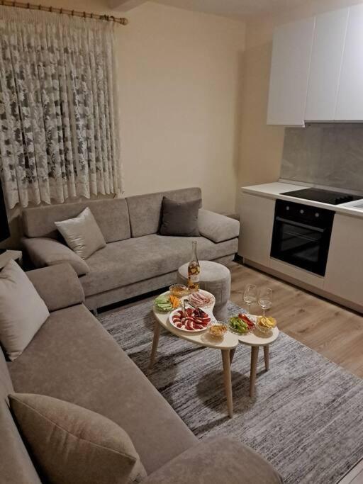 Quiet, Cozy, Luminous Apartment Tirana Exteriör bild
