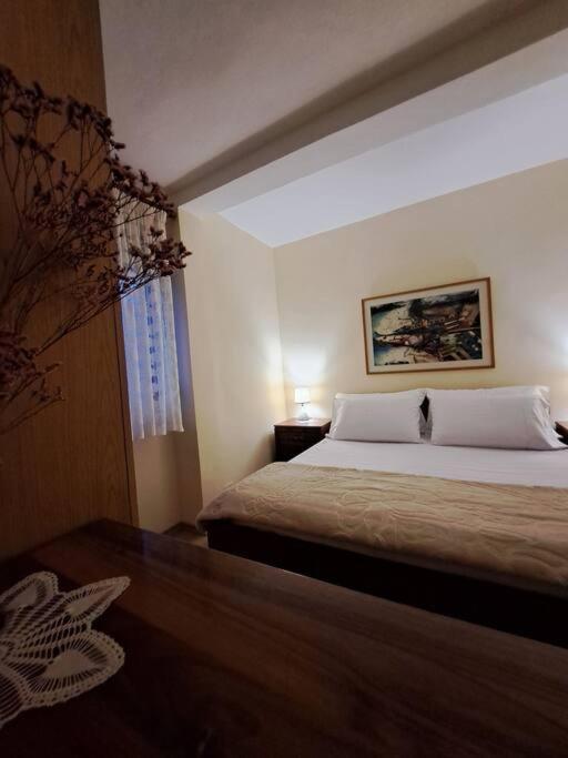 Quiet, Cozy, Luminous Apartment Tirana Exteriör bild